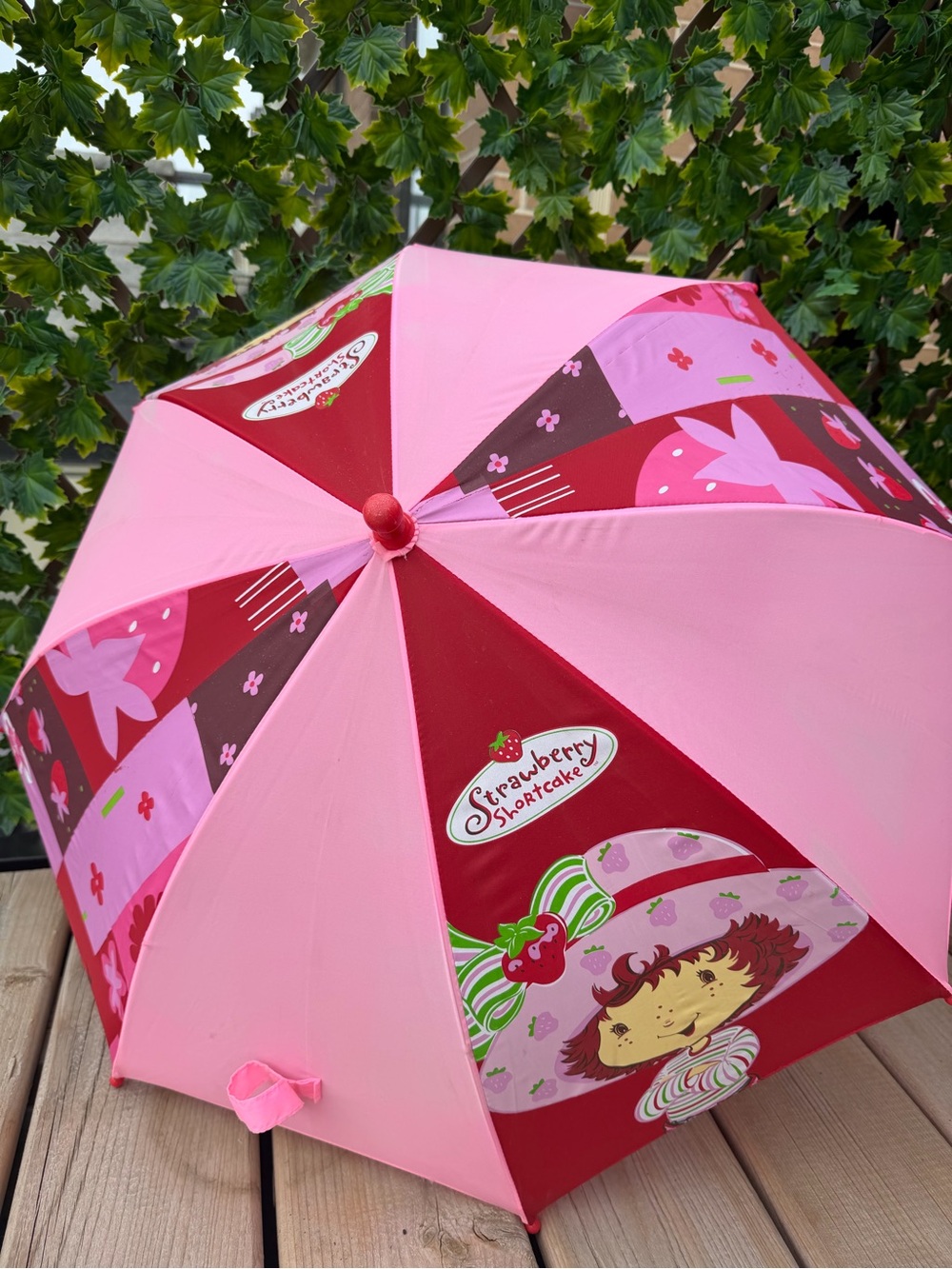 🍓Vintage Y2K Strawberry Shortcake Umbrella
